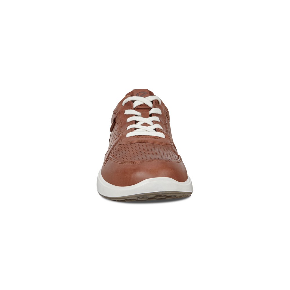 Tenis Hombre - ECCO Soft 7 Runner Lace-Ups - Marrom - CYQ348576